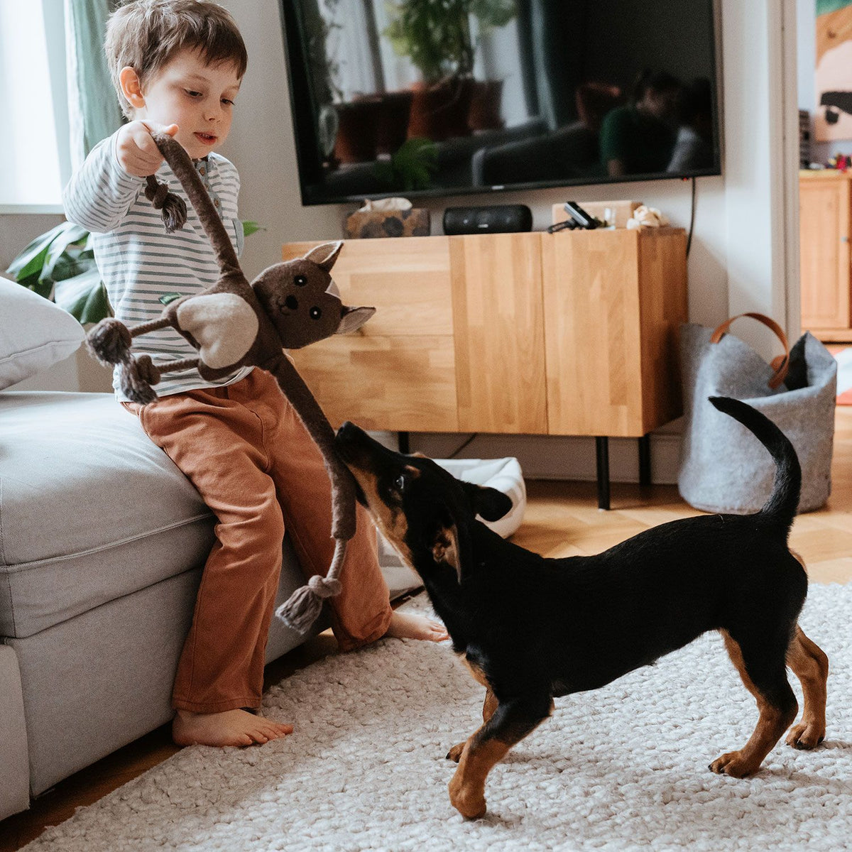 Hunter Hundespielzeug Eira
