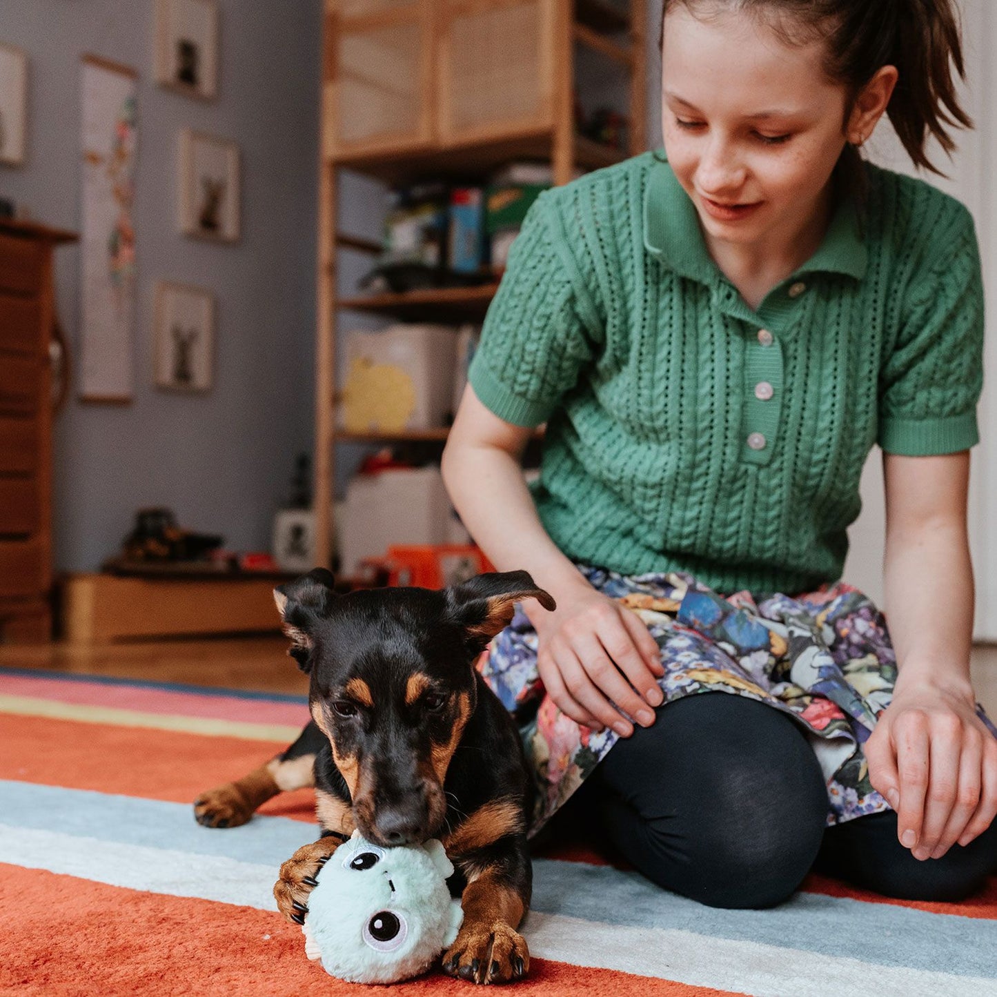 Hundespielzeug Mystery Dog Toys
