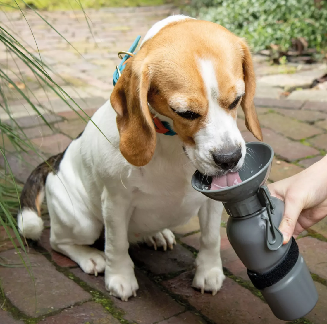 Hunde-Trinkflasche NIA
