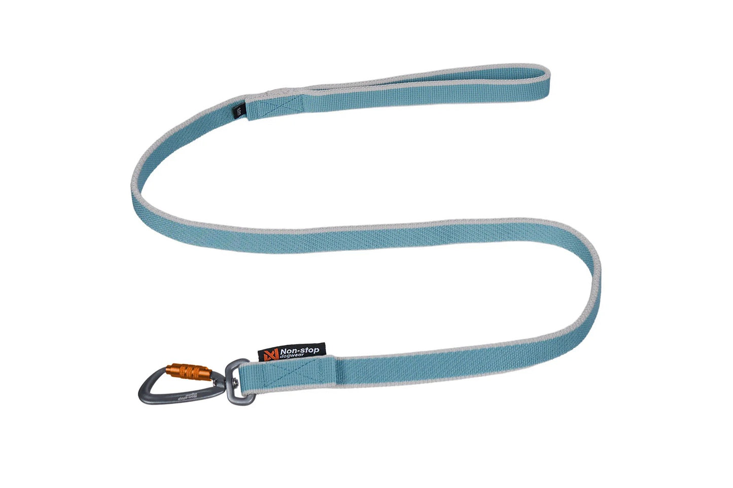 Bungee leash