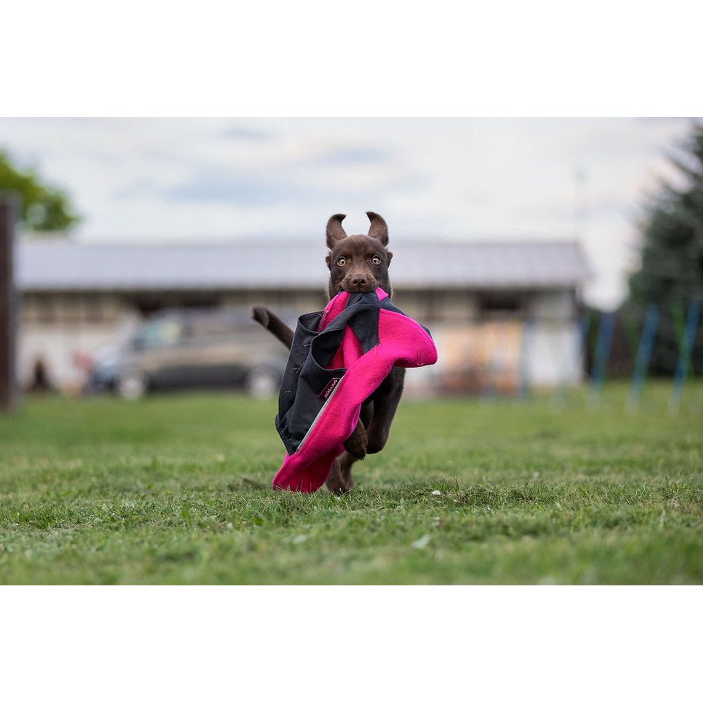 Jumppa Pomppa Pink - Limited Edition