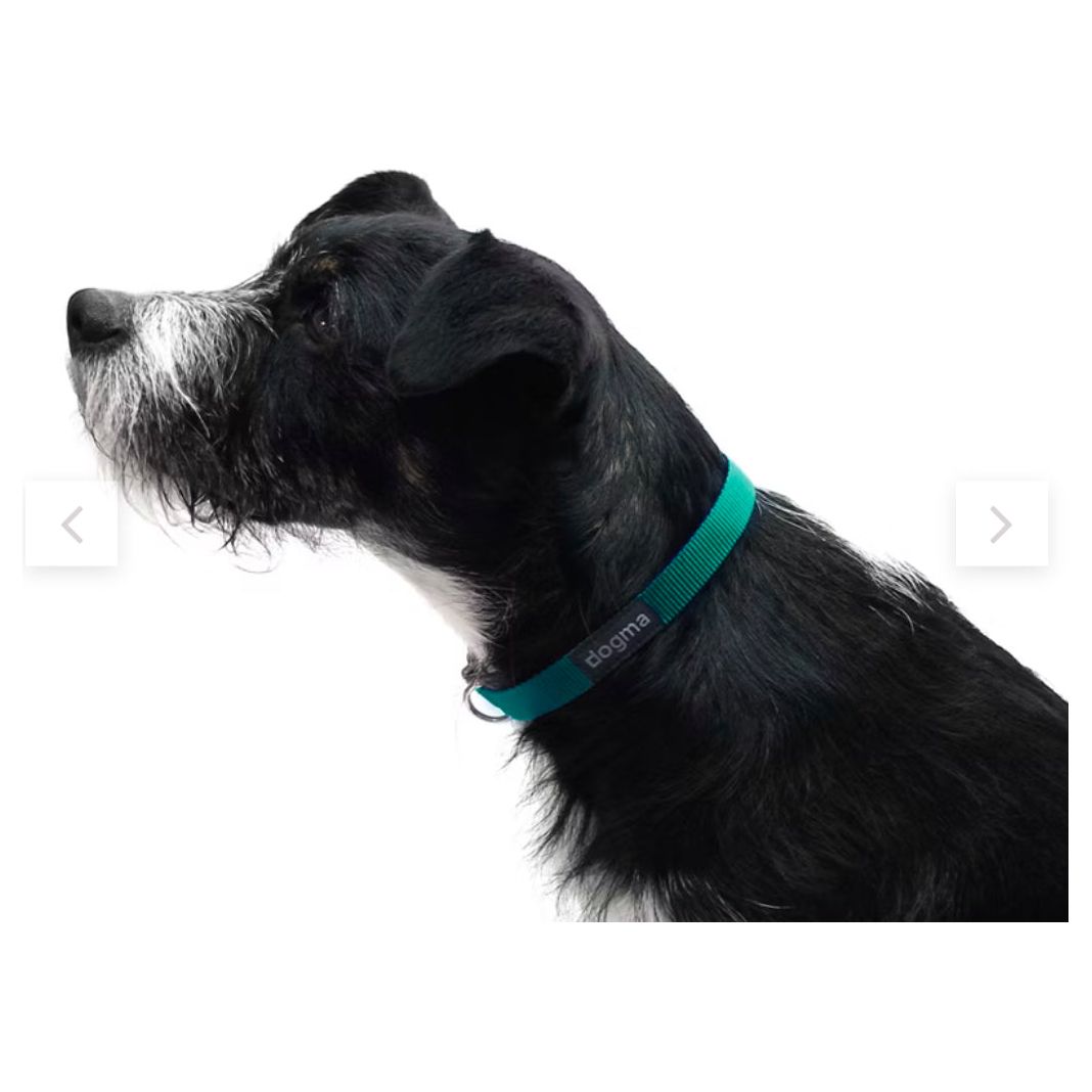 Dogma Hundehalsband Little Navy-16mm