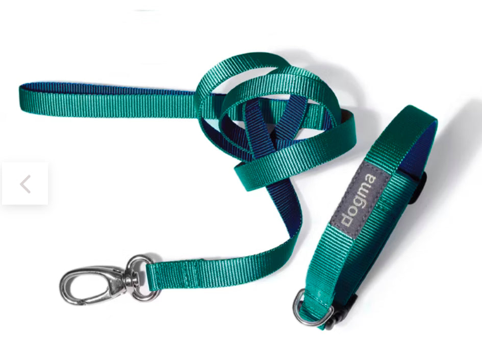 Dogma Hundehalsband Little Navy-16mm