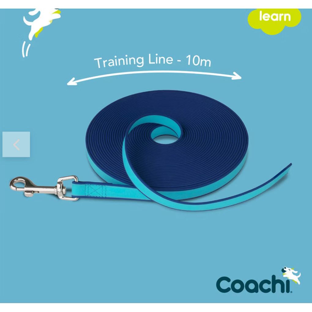 Coachi Trainings Leine 10 Meter