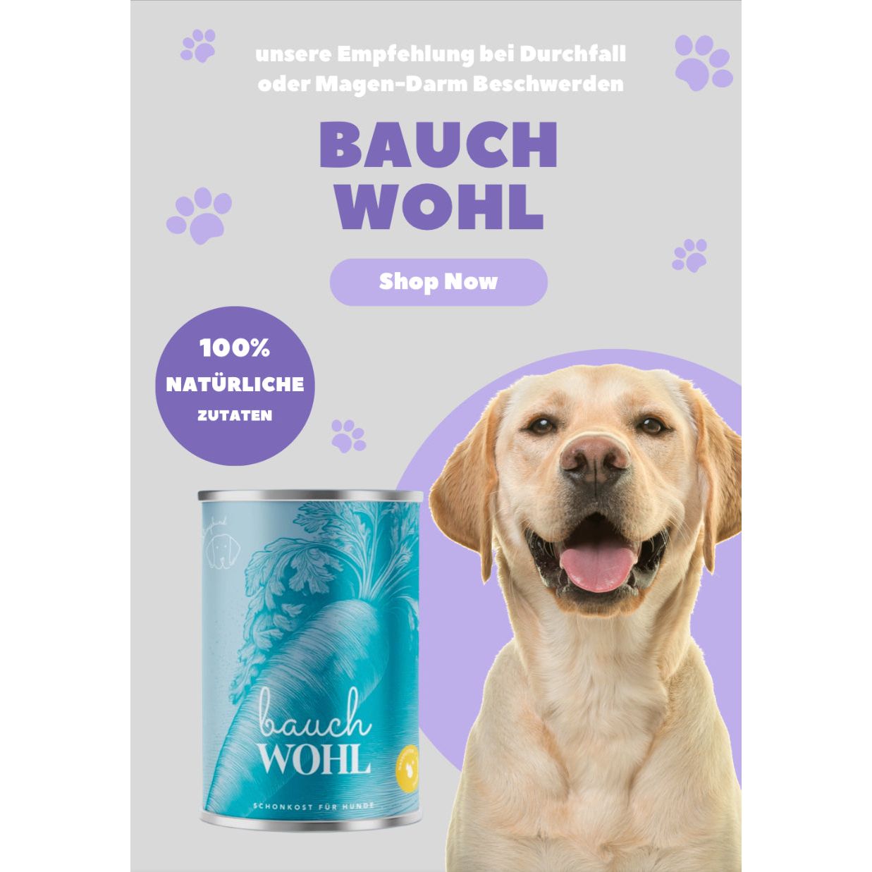 Lieblingshund Bauchwohl