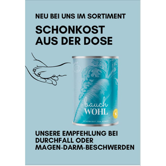 Lieblingshund Bauchwohl