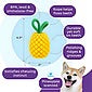 Dental Grapes Pineapple