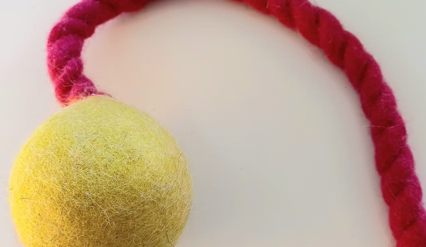 Jumping Schleuder-Filzball