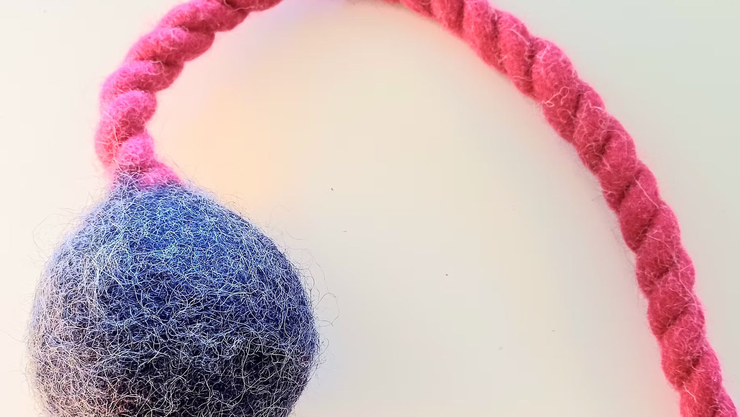 Jumping Schleuder-Filzball