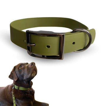 Hundehalsband-recyceltes Material