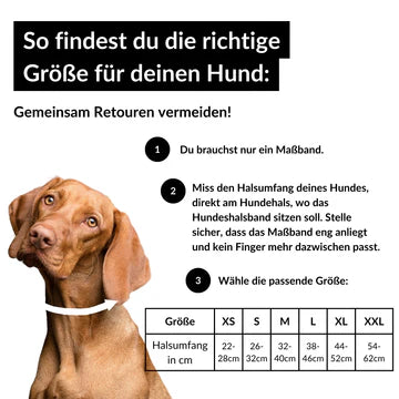Hundehalsband-recyceltes Material