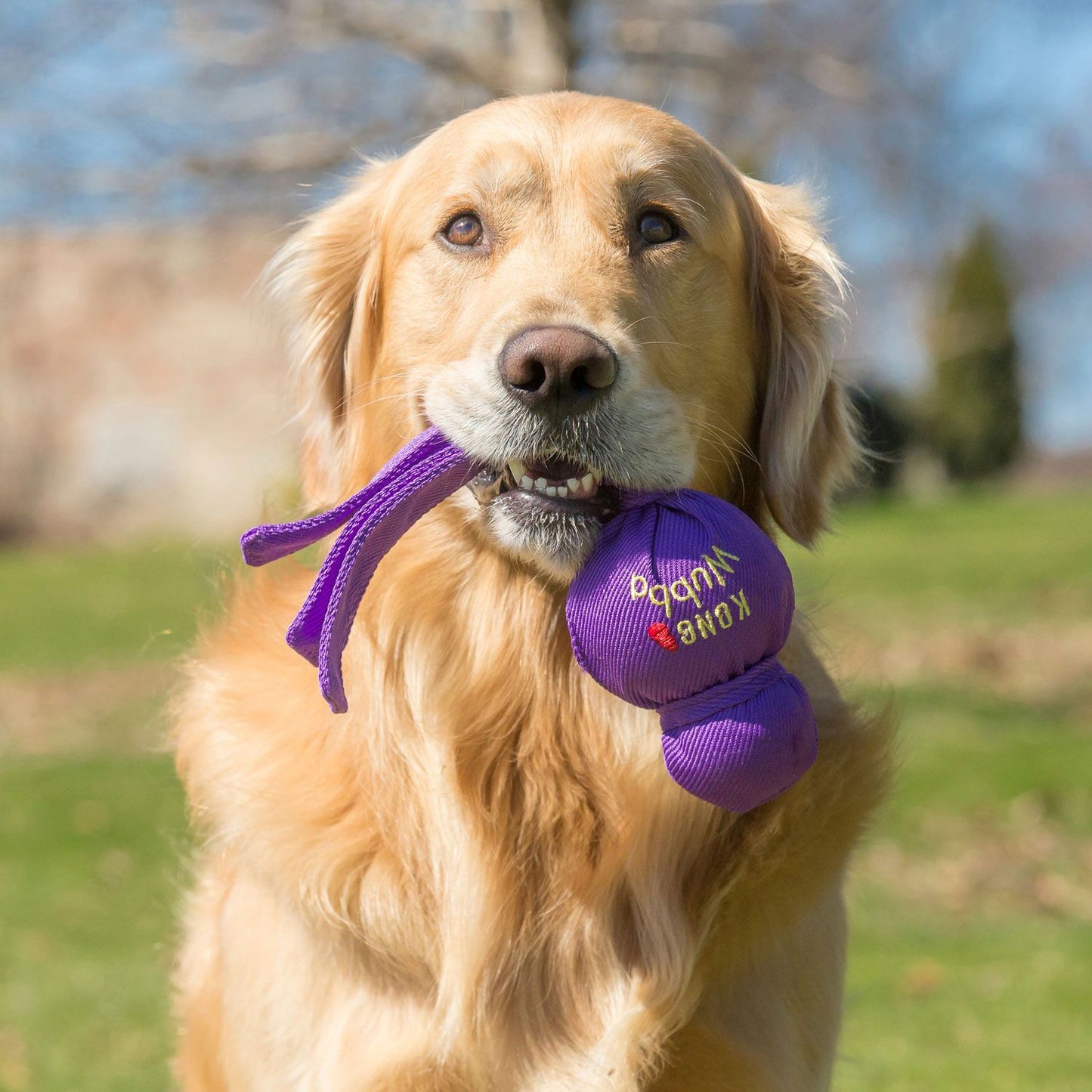 KONG Wubba Classic 43 cm