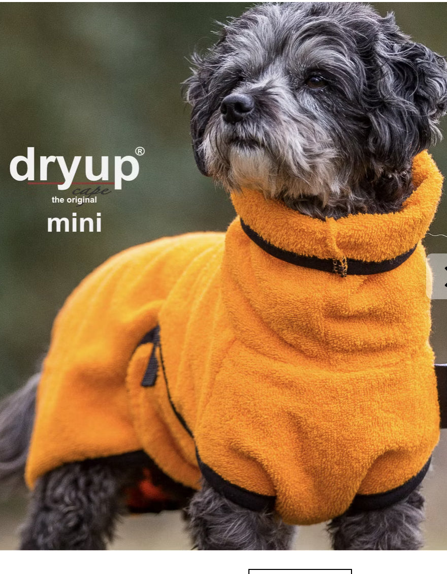 Actionfactory Dryup Cape Mini