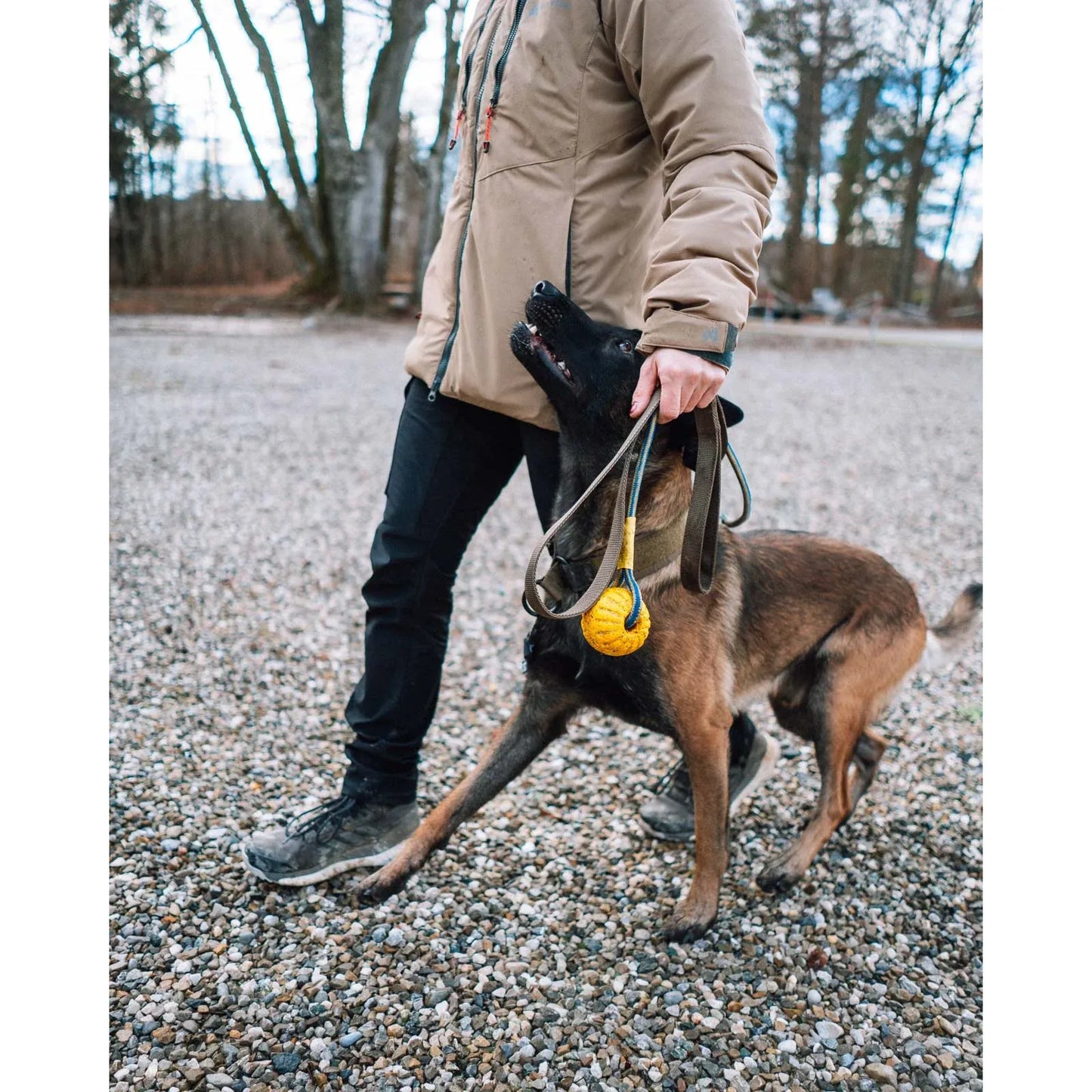 Non-stop Solid leash WD
