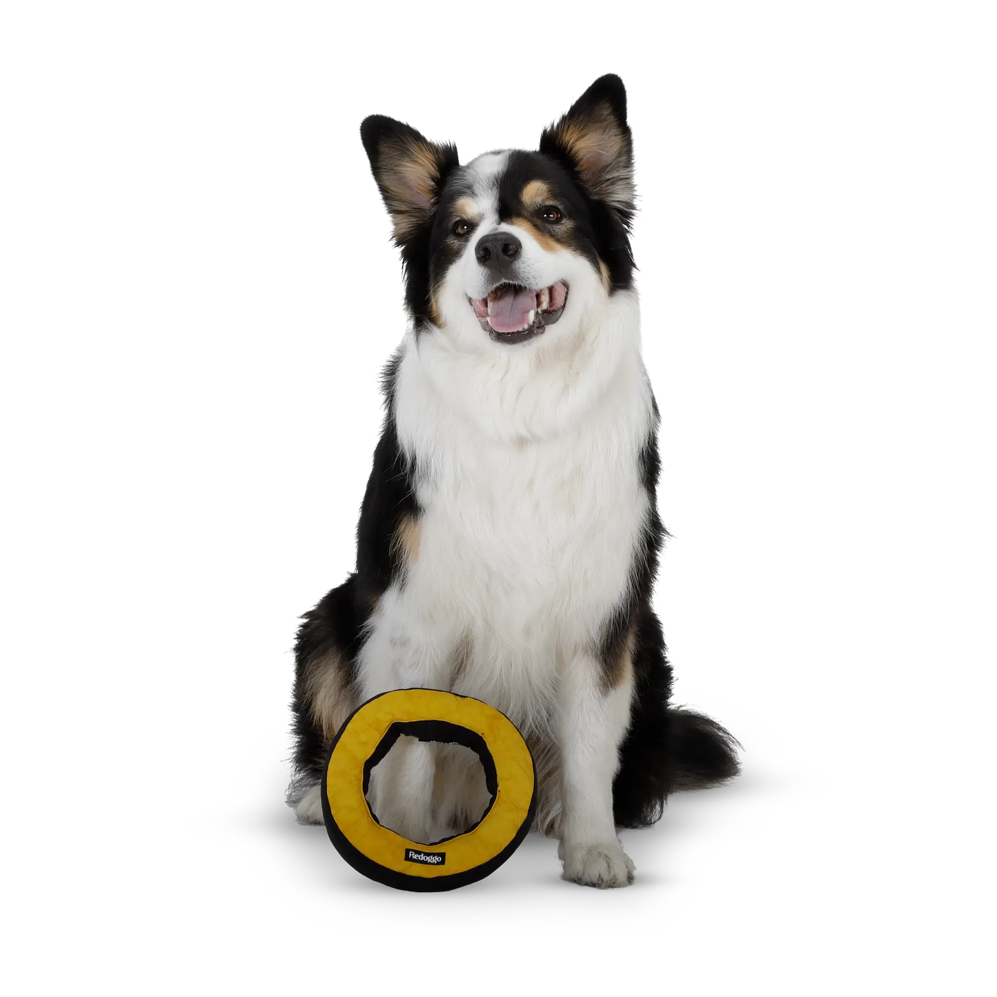 Redoggo Donut