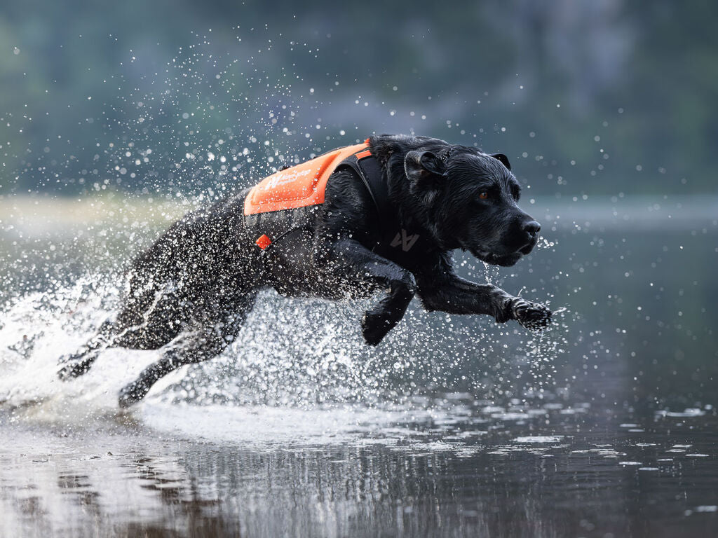 Non-stop Protector neoprene vest