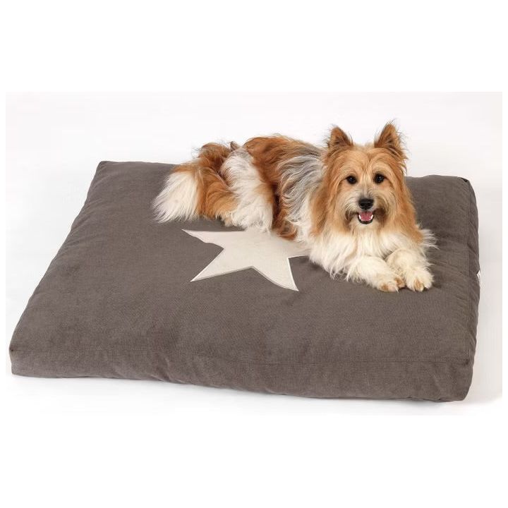 Hundekissen STAR