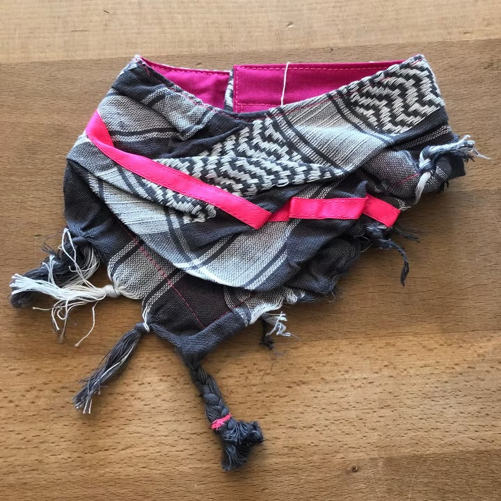 Halstuch für Hunde, Hundepalis