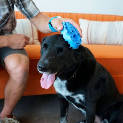 KONG Zoomgroom