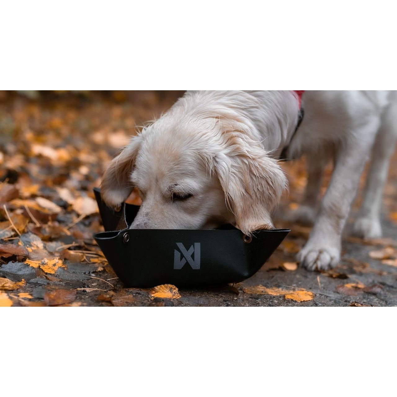Non-stop Trekking Bowl