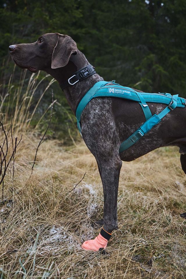 Non-stop Protector light socks