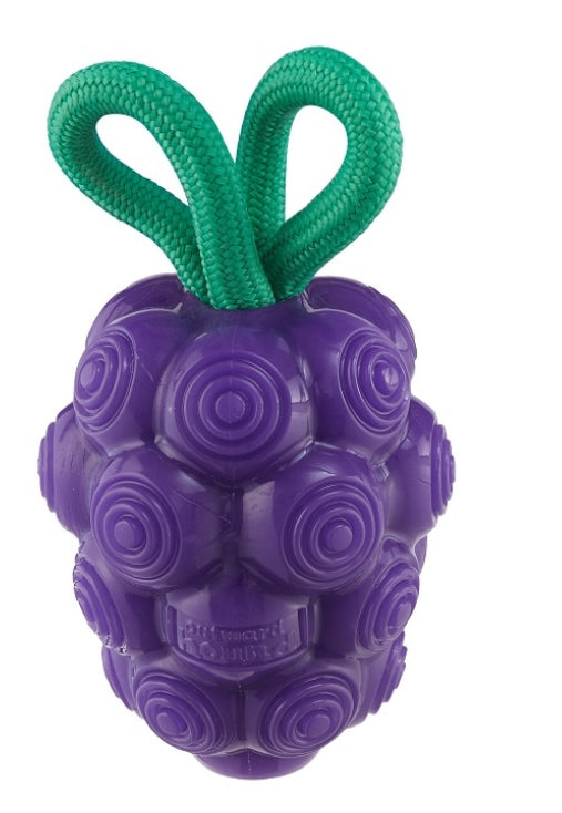 Dental Grapes Purple