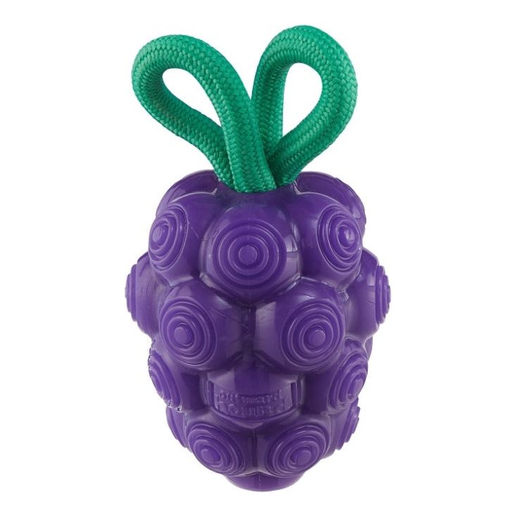 Dental Grapes Purple