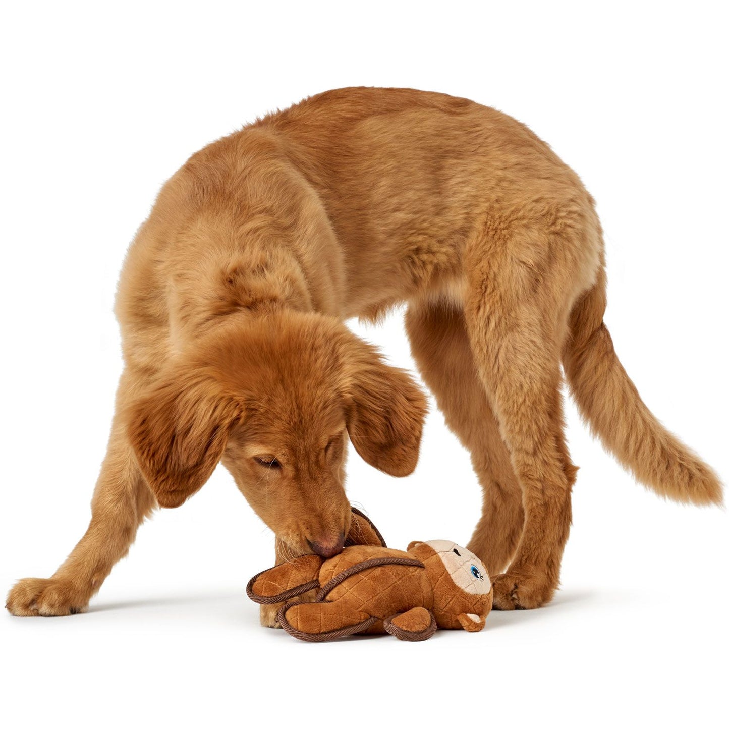 Tough Toys Affe