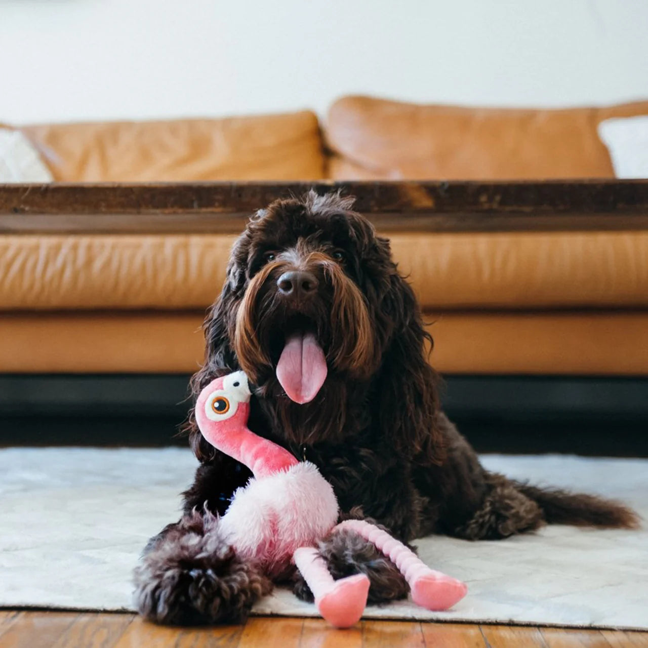 Flora the Flamingo