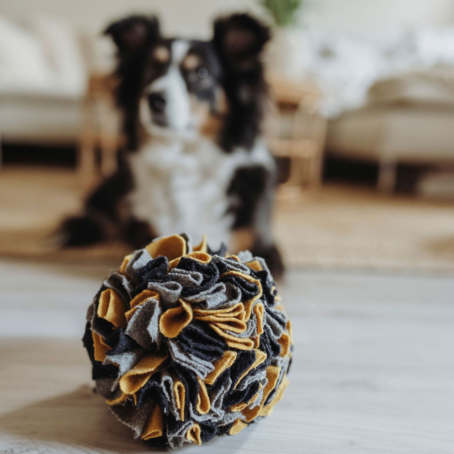 Schnüffelball EIBY