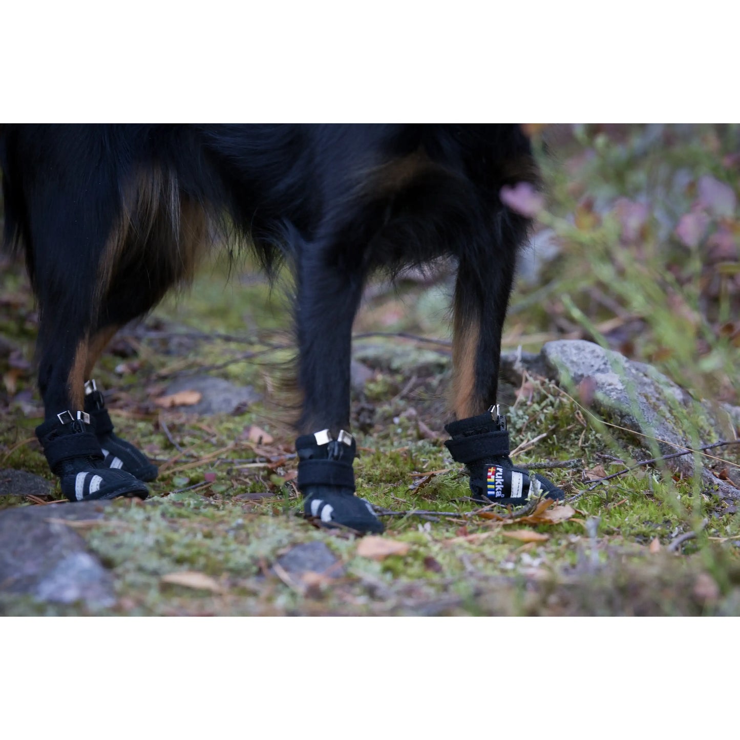 Rukka Hundeschuhe Step Shoes