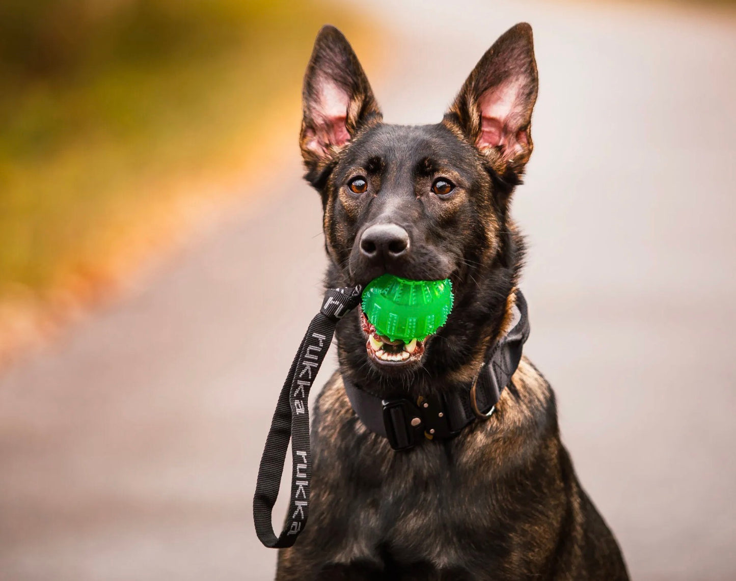Ruckartig pets Gel ball with handle
