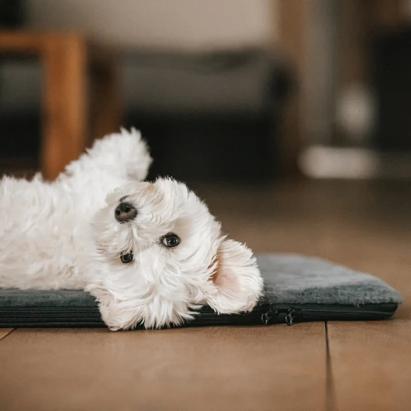 Manuly Hundematte I Komplett-Set inklusive Bag