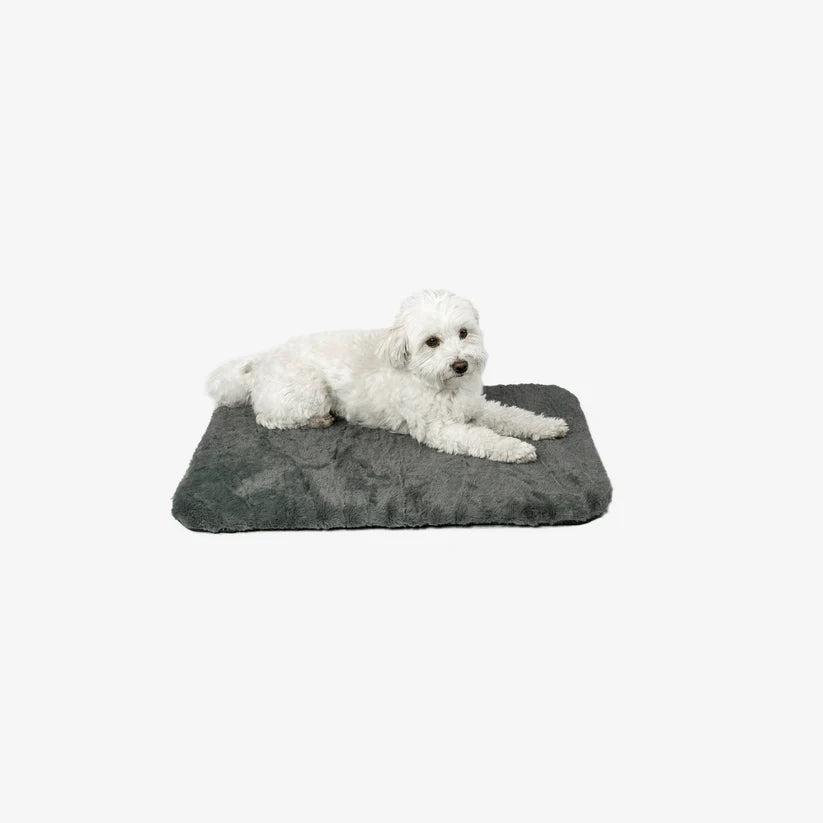 Manuly Hundematte I Komplett-Set inklusive Bag