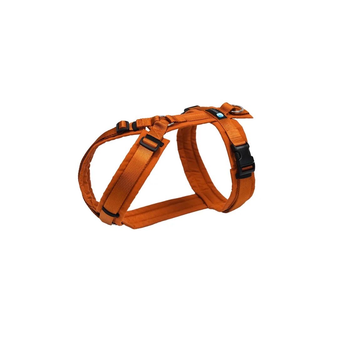 Anny-x Brustgeschirr Fun, Limited