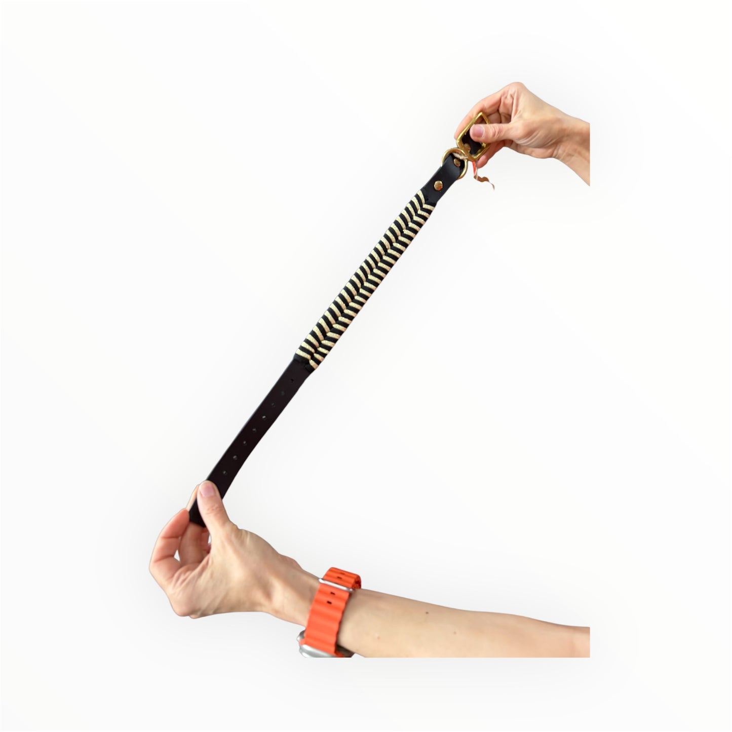 Halsband Biothane mit Parachute Cord