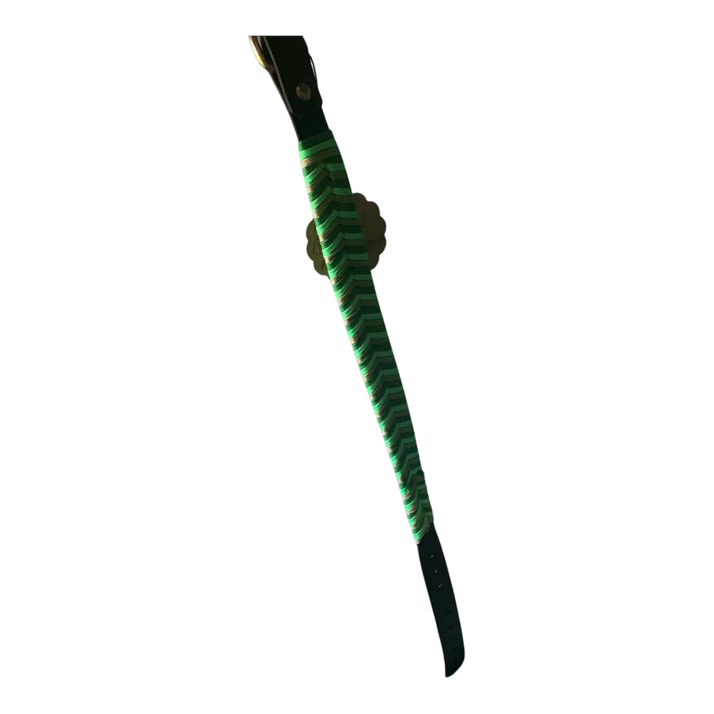 Halsband Biothane mit Parachute Cord