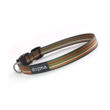 Dogma Hundehalsbänder Little Stripes