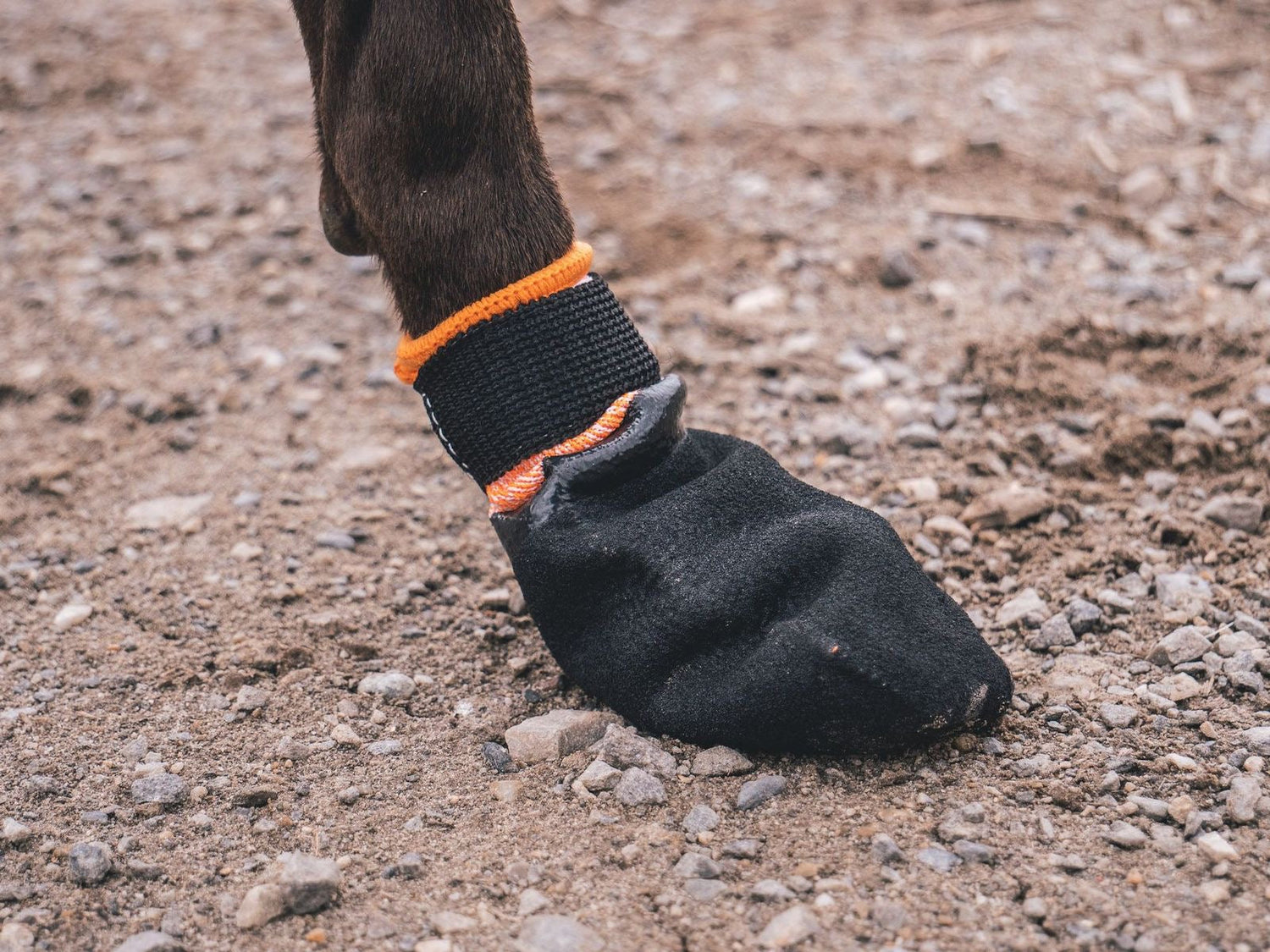 Booties