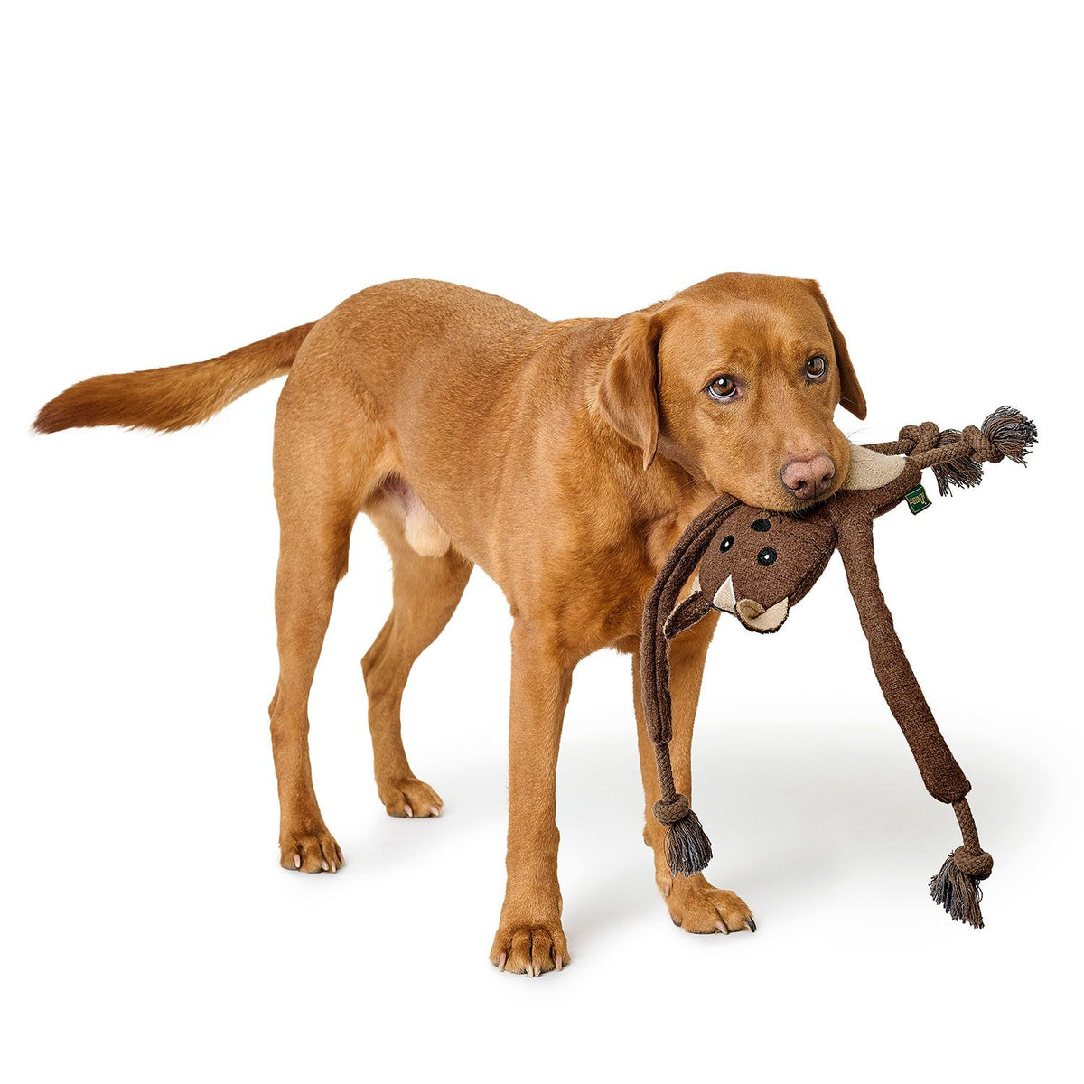 Hunter Hundespielzeug Eira