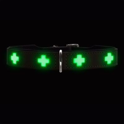 Hunter Halsband Swiss Glow