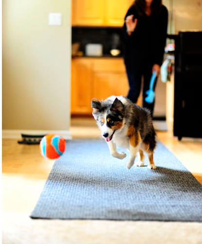 Chuckit! Indoor Ball