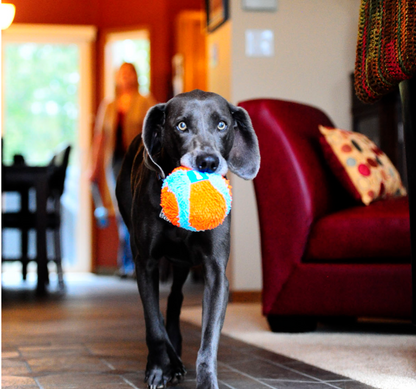 Chuckit! Indoor Ball