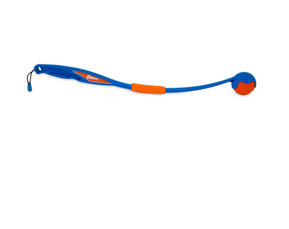 Chuckit! Fetch & Fold