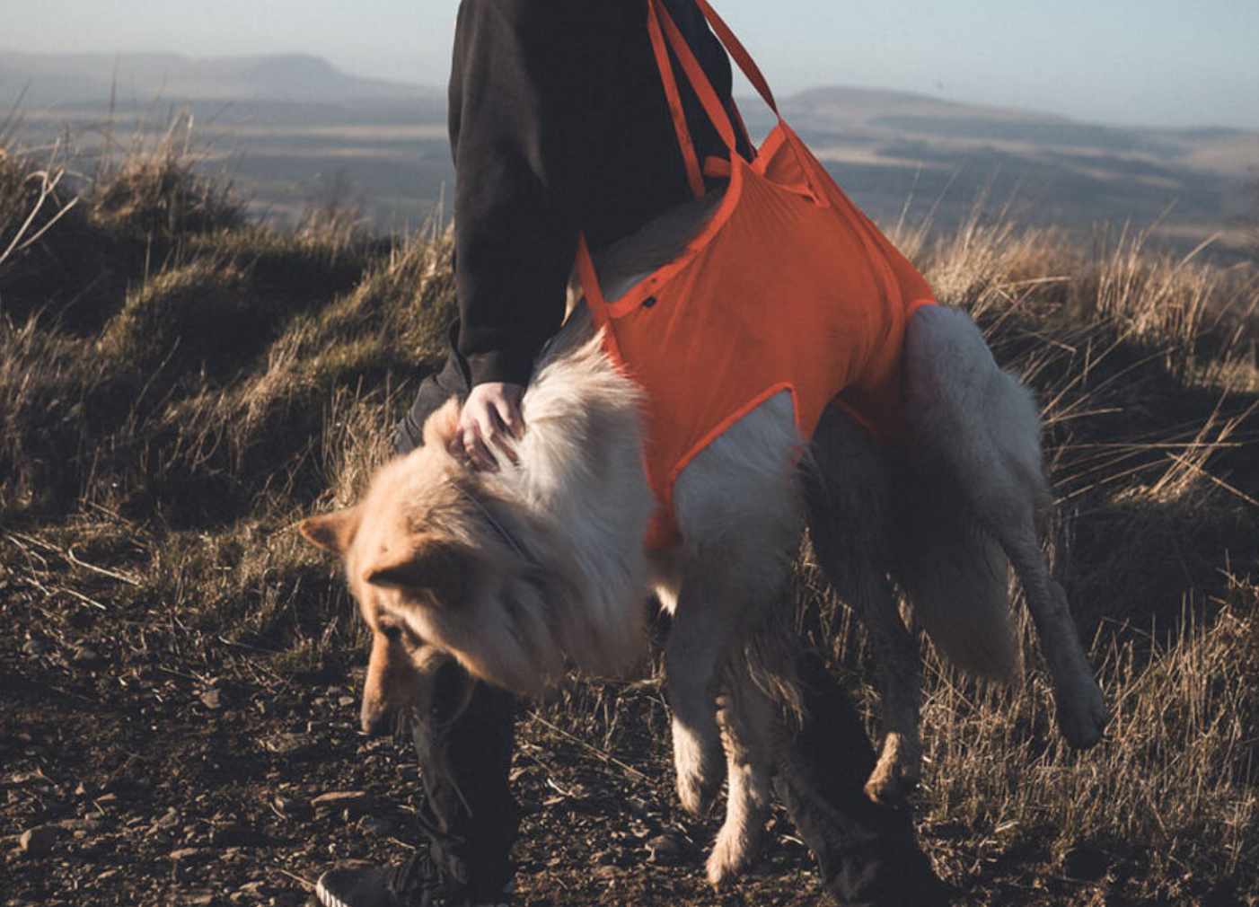 Non-stop Dog rescue sling