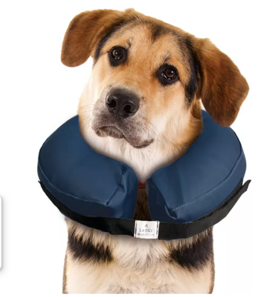 Hunde-Schutzkragen -aufblasbar