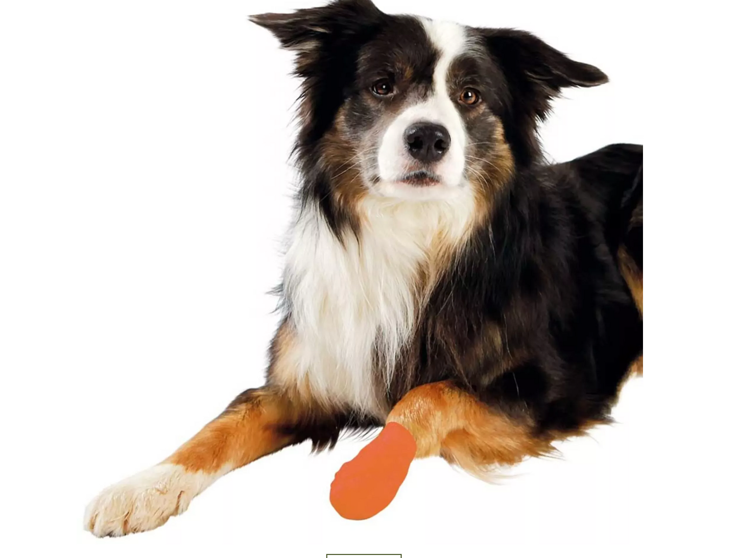 Hunde-Bandagen Anti-Knabber