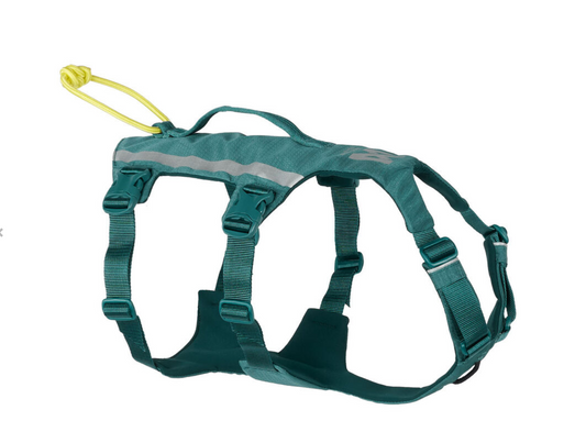Non-stop Ramble harness long