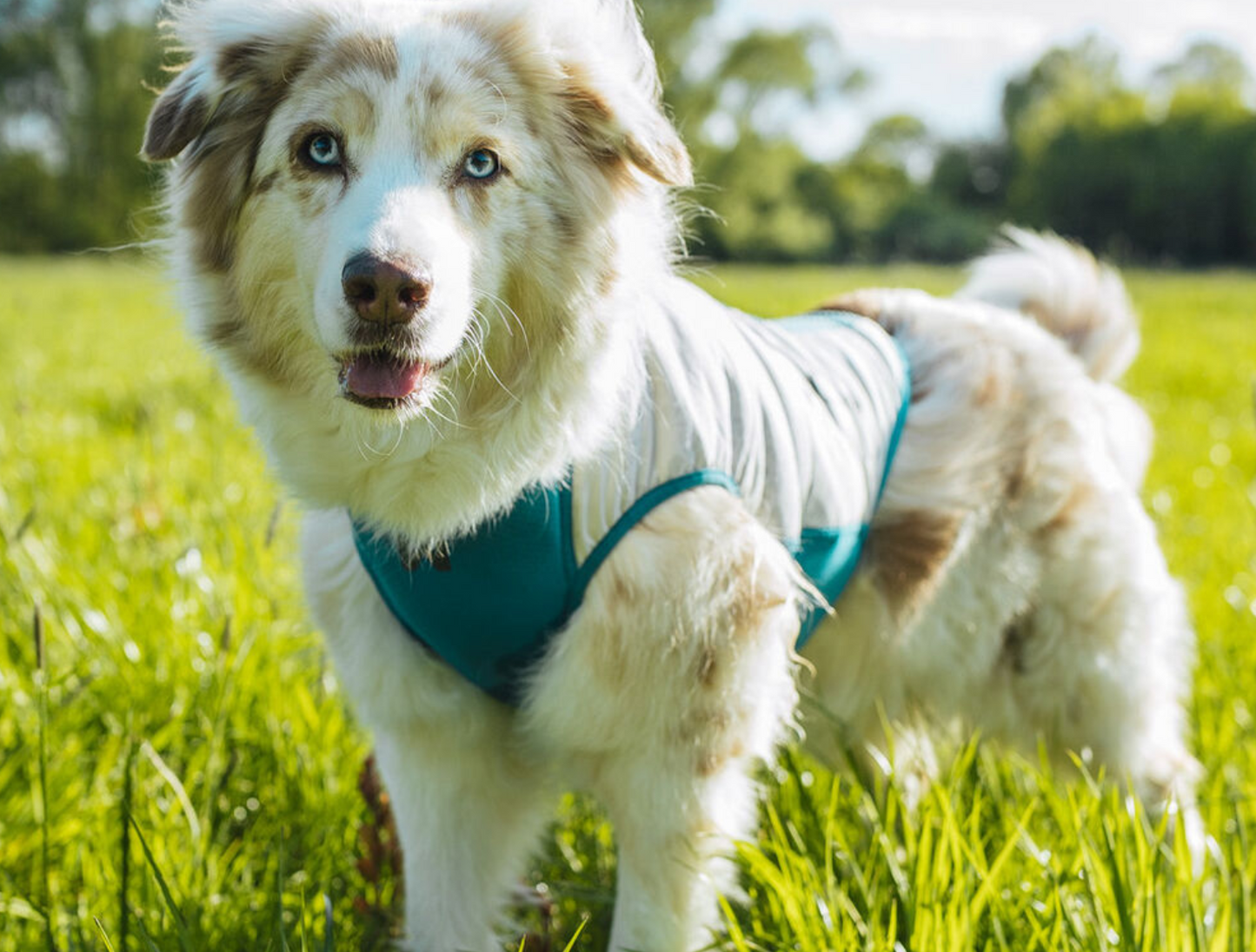 Non-stop  Cooling pull-on vest