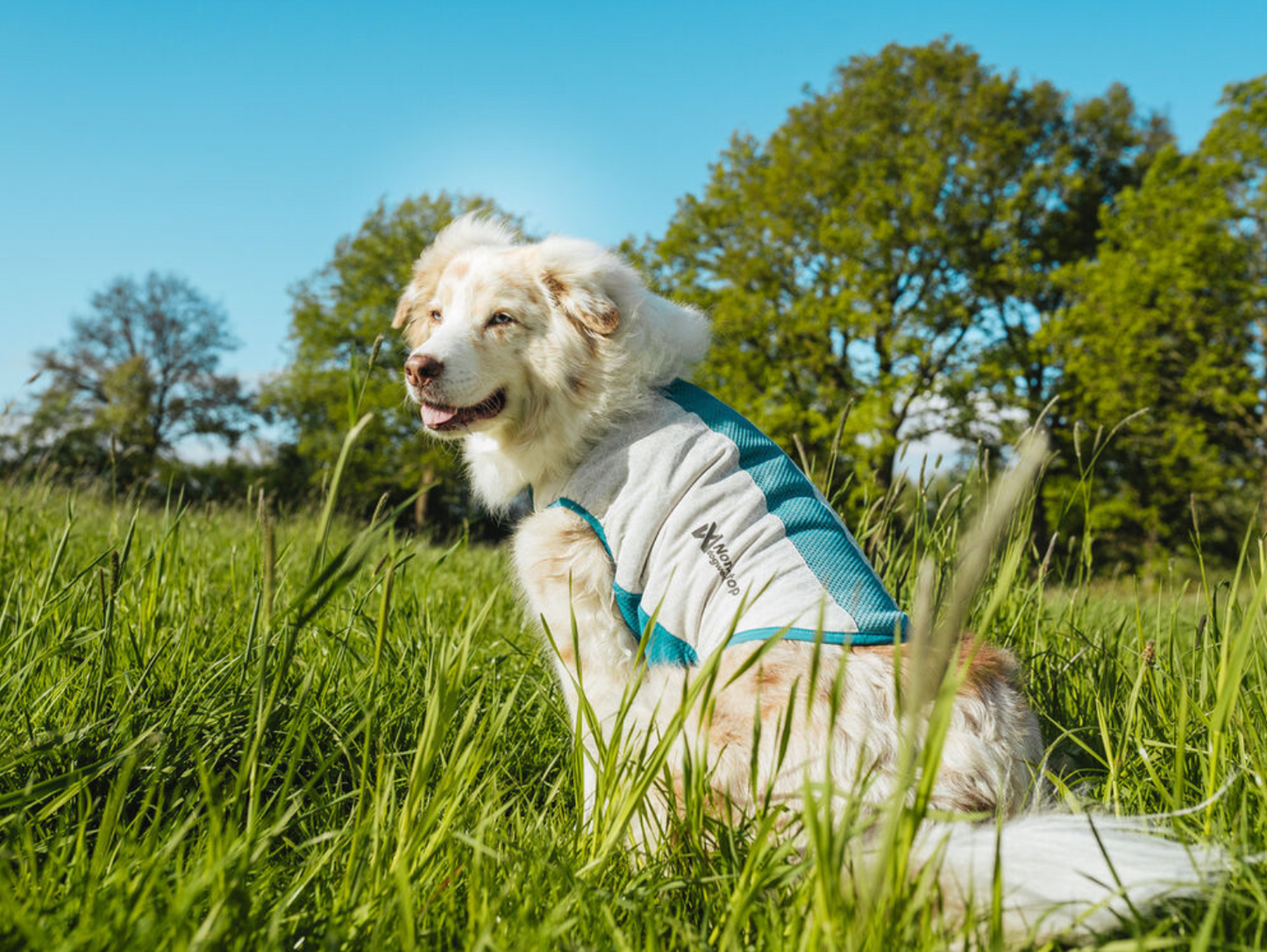 Non-stop  Cooling pull-on vest